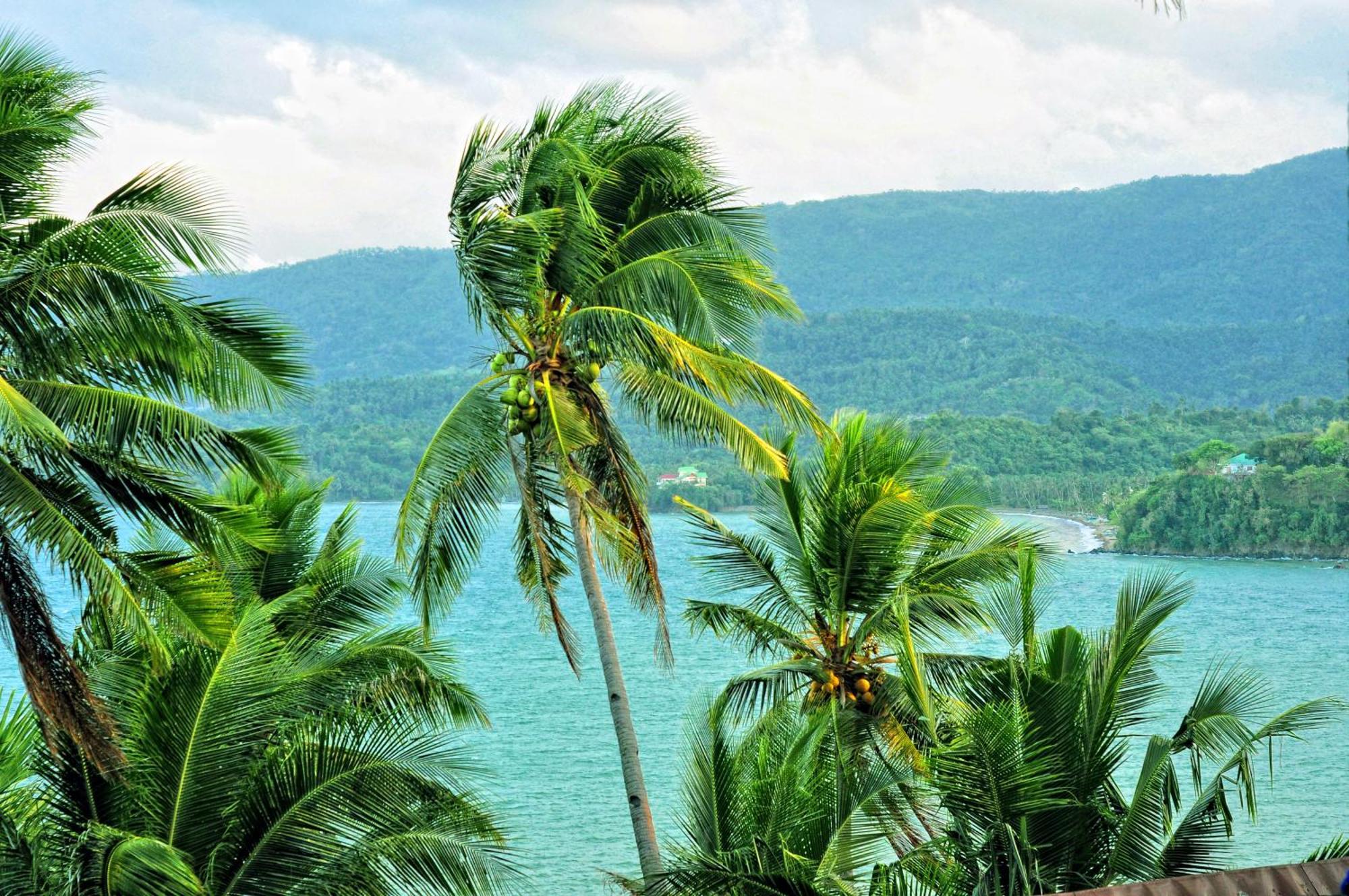 Villa De Pico Highland Beach Resort Puerto Galera Dış mekan fotoğraf